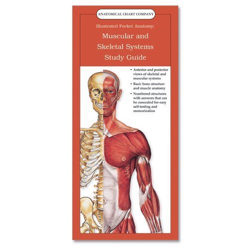 Illustrated Pocket Anatomy: Muscular And Skeletal Systems Study Guide: (Laminated Card, Single Copy, No Tab),Used