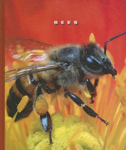 Bees (World of Insects)