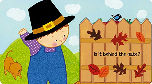 Where Is Baby'S Turkey?: A Karen Katz Lifttheflap Book (Karen Katz Lifttheflap Books),Used