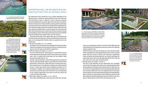 How To Build A Natural Swimming Pool