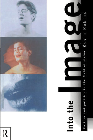 Into the Image: Culture and Politics in the Field of Vision,Used