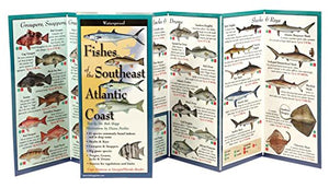 Fishes Of The Southeast Atlantic Coast: Folding Guide (Foldingguides),New