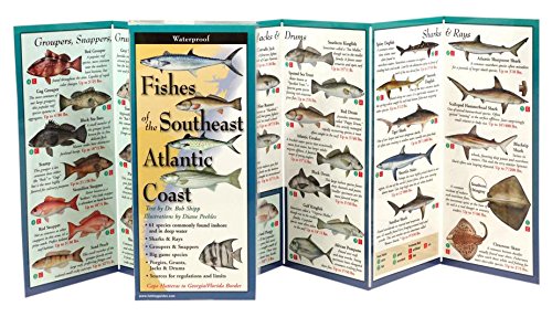 Fishes of the Southeast Atlantic Coast: Folding Guide (Foldingguides),Used