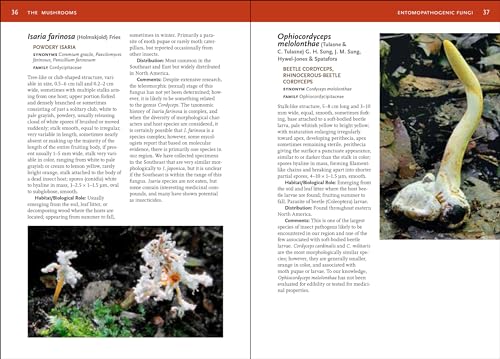 Mushrooms Of The Southeast (A Timber Press Field Guide),New