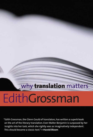 Why Translation Matters (Why X Matters Series)-new