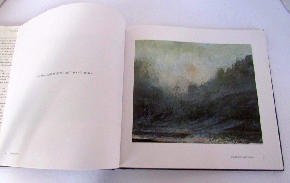 Jung para principiantes / Jung for Beginners (Spanish Edition),Used