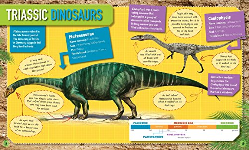 Timeline Science: Dinosaurs,Used