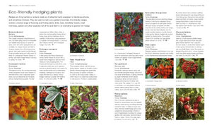 How to Create an Eco Garden: The practical guide to greener, planetfriendly gardening. Stepbystep techniques, a directory of ,Used