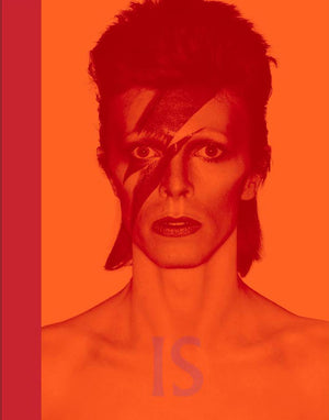 David Bowie Is (Museum of Contemporary Art, Chicago: Exhibition Catalogues),Used