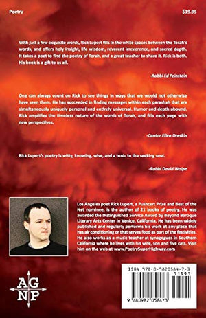 God Wrestler: A poem for every Torah Portion,Used