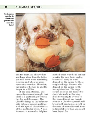 Clumber Spaniel (Comprehensive Owner's Guide),Used