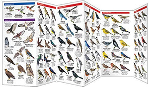 Wyoming Birds: A Folding Pocket Guide to Familiar Species (Wildlife and Nature Identification),Used