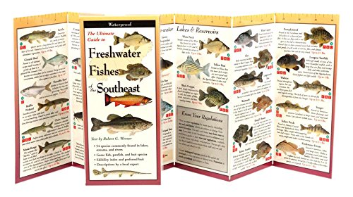 Freshwater Fishes of the Southeast: Folding Guide (Foldingguides),Used