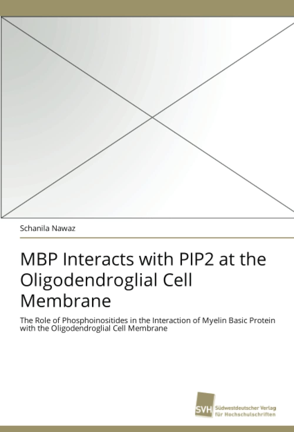 MBP Interacts with PIP2 at the Oligodendroglial Cell Membrane: The Role of Phosphoinositides in the Interaction of Myelin Basic ,Used
