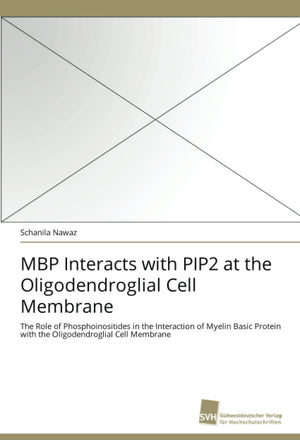 MBP Interacts with PIP2 at the Oligodendroglial Cell Membrane: The Role of Phosphoinositides in the Interaction of Myelin Basic ,Used