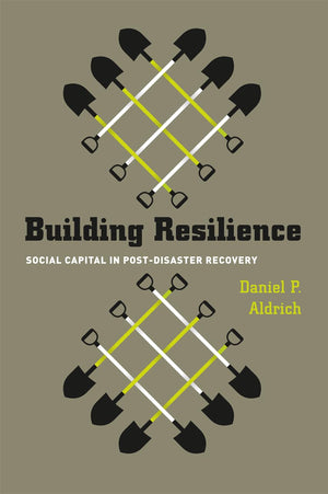 Building Resilience: Social Capital in PostDisaster Recovery,Used