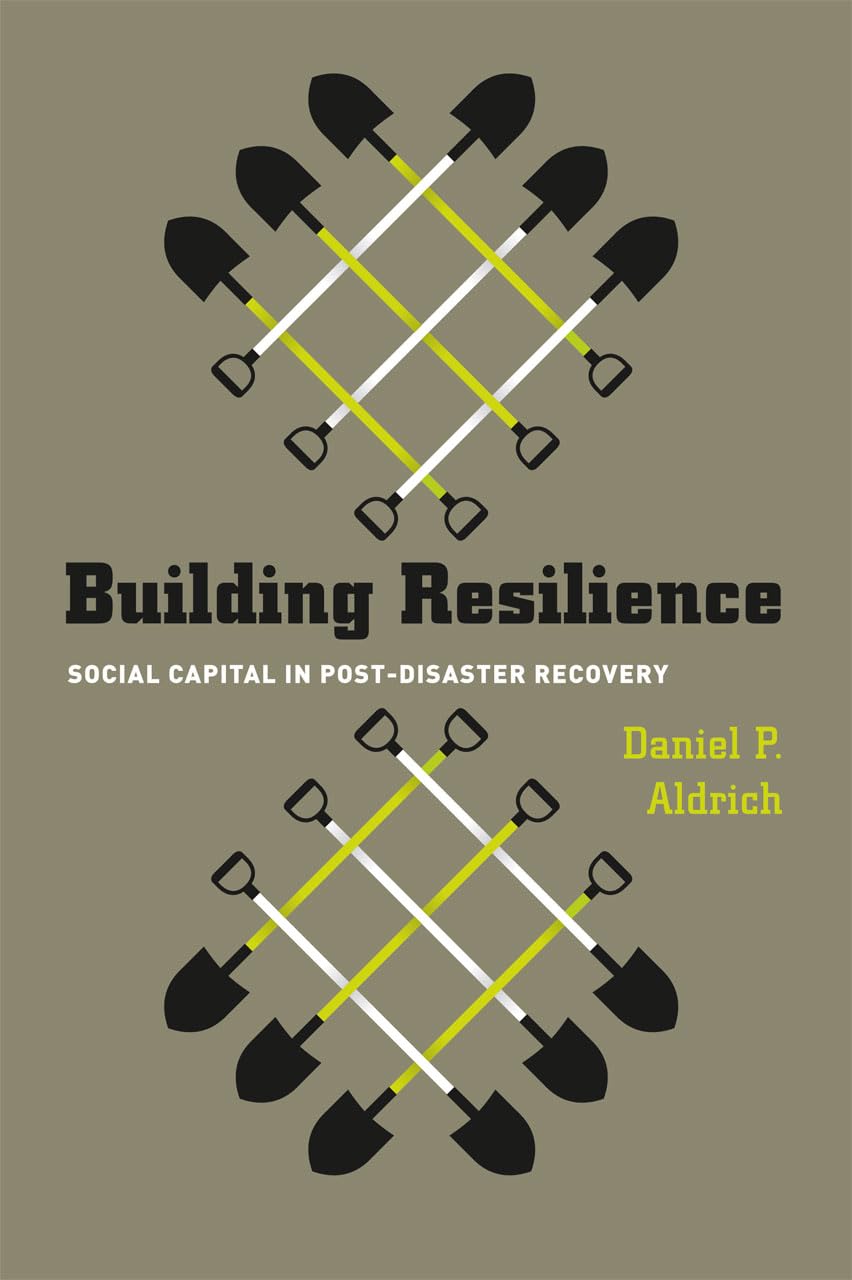 Building Resilience: Social Capital in PostDisaster Recovery,Used