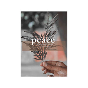 Peace  Teen Devotional: 30 Devotions for Fighting Anxiety Gods Way (Volume 1) (Lifeway Students Devotions),Used