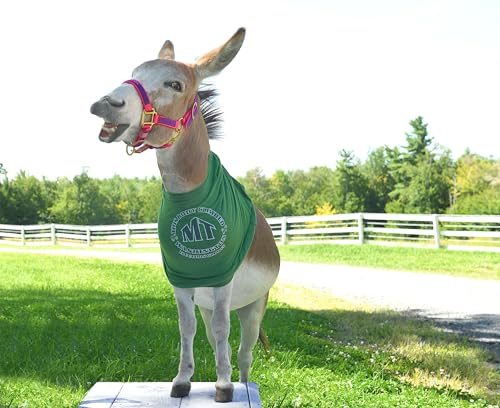 Take A Hike! A DonkeyDonk Story (DonkeyDonk Series, Book 3) (The DonkeyDonk Series),Used