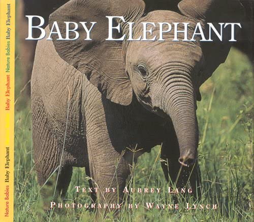 Baby Elephant (Nature Babies),Used