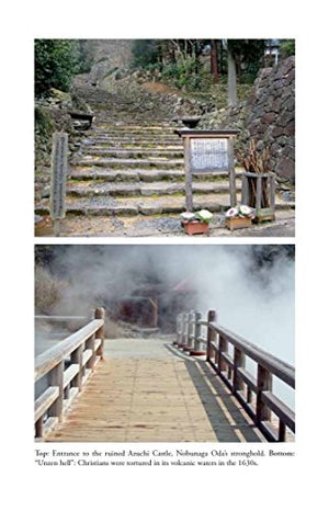 In Search of Japan's Hidden Christians: A Story of Suppression, Secrecy and Survival,Used