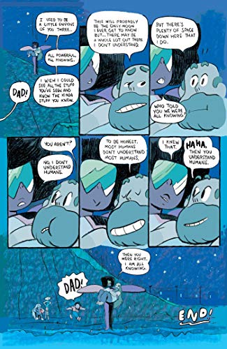 Steven Universe: Welcome to Beach City,Used