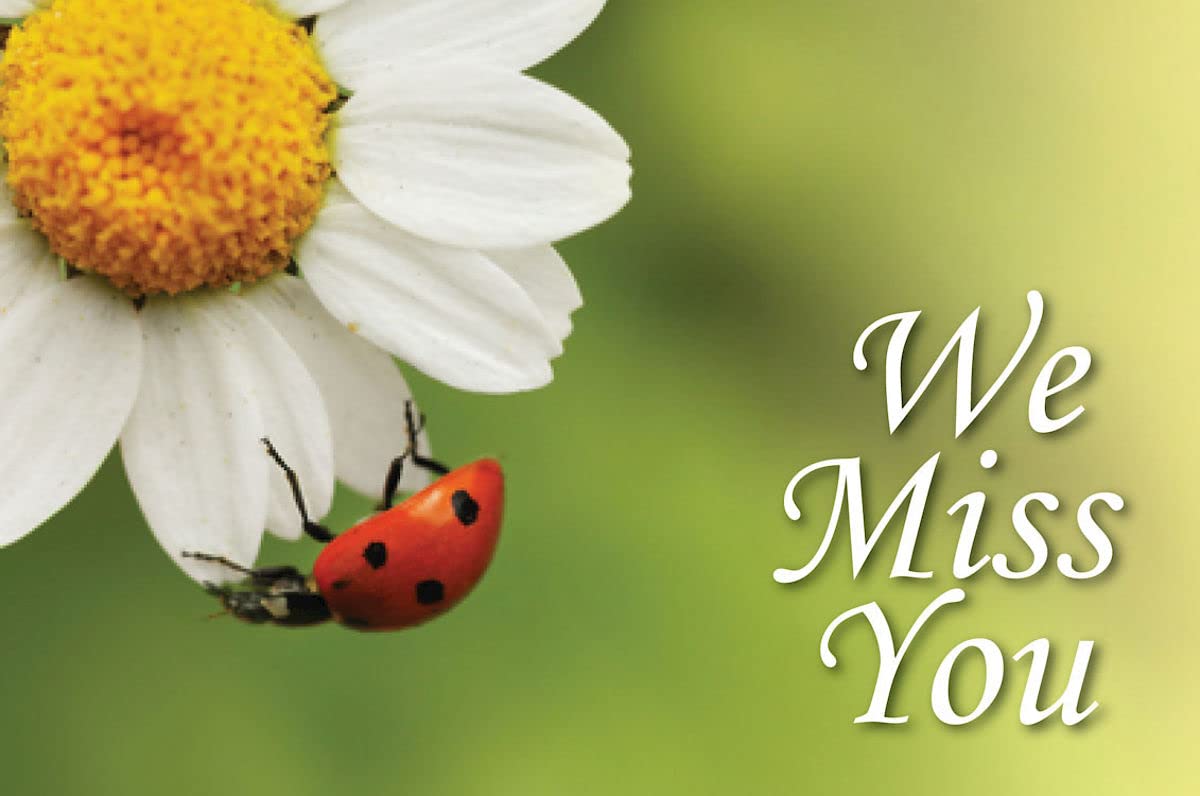 We Miss You Ladybug Postcard (Pkg of 25),Used