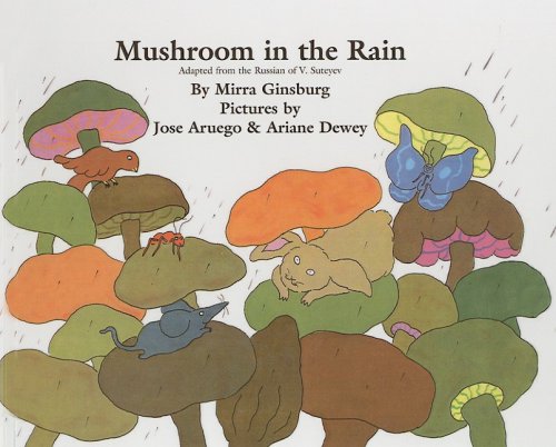 Mushroom in the Rain,Used