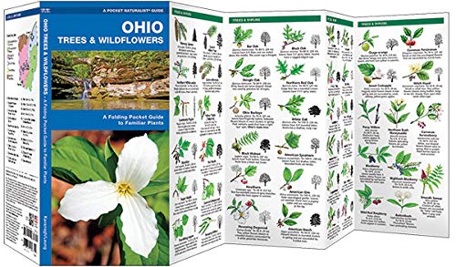 Ohio Trees & Wildflowers: A Folding Pocket Guide to Familiar Plants (Wildlife and Nature Identification),Used