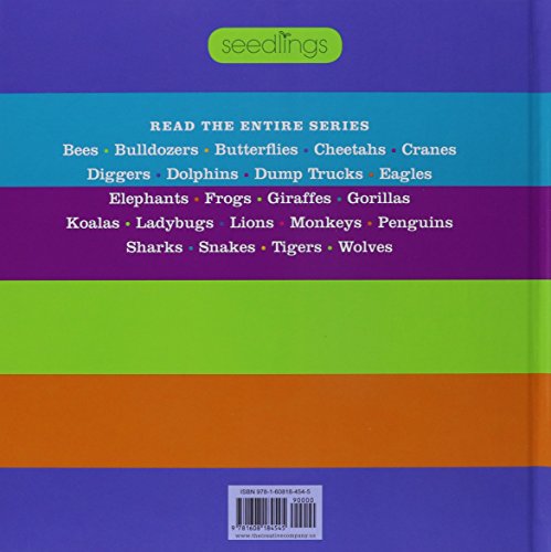 Gorillas (Seedlings),Used