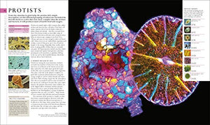 Natural History (Dk Definitive Visual Encyclopedias),New
