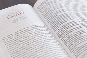 Biblia Peshitta. Tapa dura / Peshitta Bible. Hardcover (Spanish Edition),Used