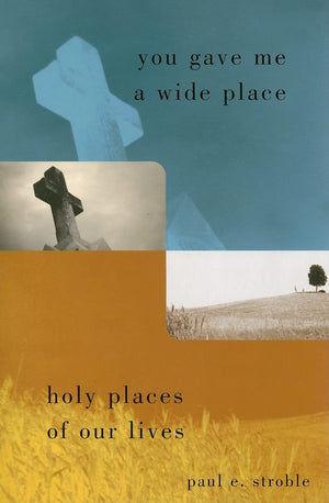 You Gave Me a Wide Place: Holy Places of Our Lives,New