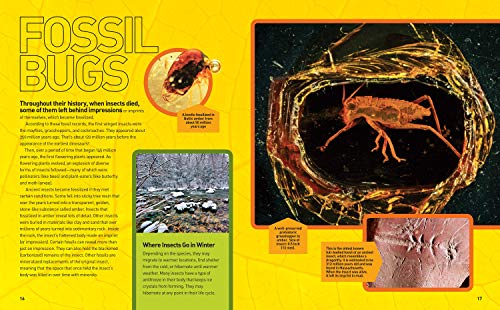Ultimate Bugopedia: The Most Complete Bug Reference Ever (National Geographic Kids),Used