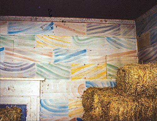 Grand Illusions: Historic Decorative Interior Painting in North Carolina,Used