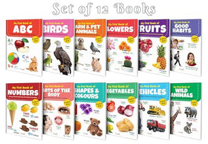 My First (Eng-Hindi) Picture Book Collection For Early Learning With 12 Topics (Waterproof, Dust-Resistant, Big Fonts, Laminated, Realistic Pictures) | Gift Set For Kids