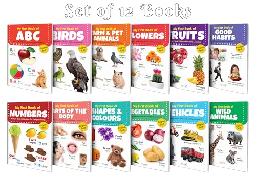 My First (Eng-Hindi) Picture Book Collection For Early Learning With 12 Topics (Waterproof, Dust-Resistant, Big Fonts, Laminated, Realistic Pictures) | Gift Set For Kids