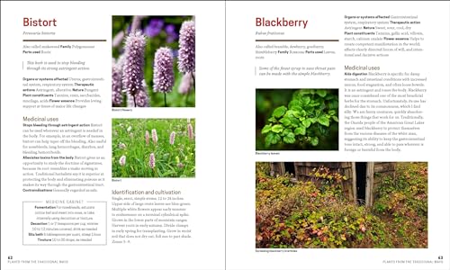 The Herbal Apothecary: 100 Medicinal Herbs and How to Use Them,Used