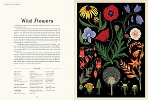 Botanicum: Welcome to the Museum,New