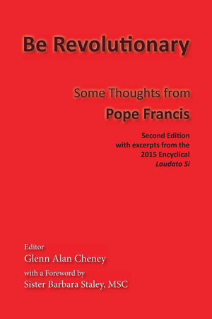 Be Revolutionary: Some Thoughts from Pope Francis,Used