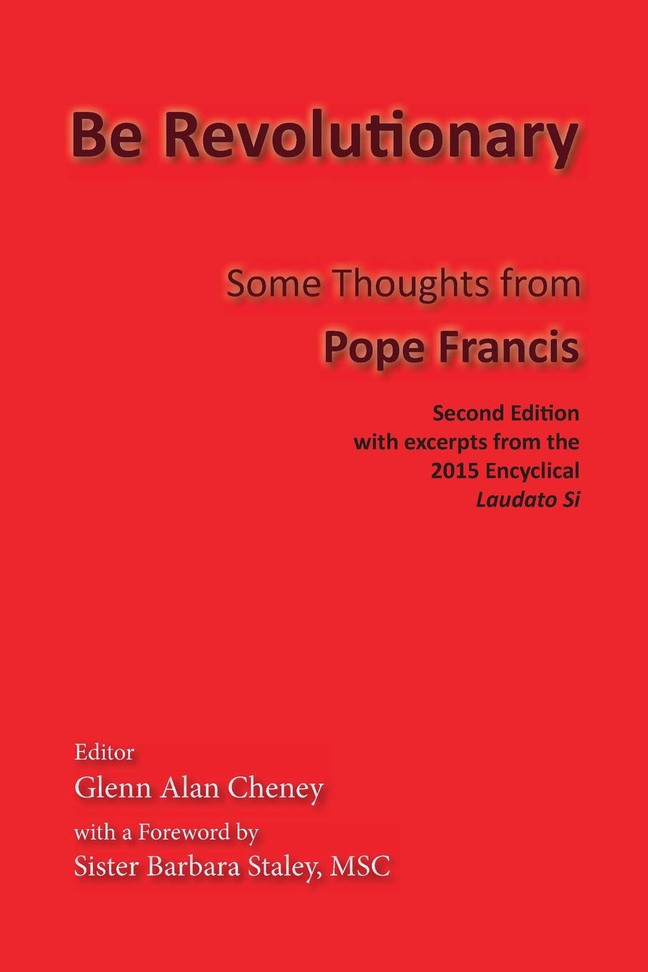 Be Revolutionary: Some Thoughts from Pope Francis,Used