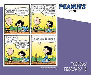 Peanuts 2020 DaytoDay Calendar,Used