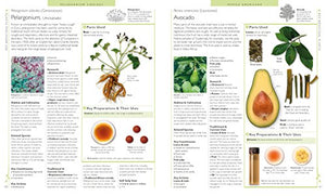 Encyclopedia Of Herbal Medicine-used