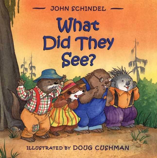 What Did They See?,Used