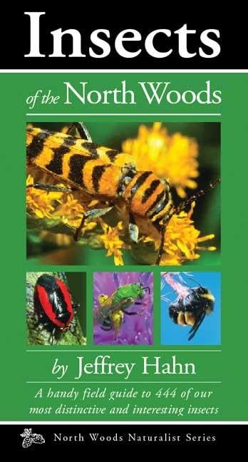 Insects of the North Woods (Naturalist Series),Used