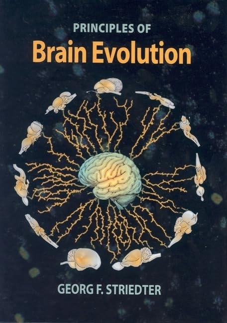 Principles of Brain Evolution,Used