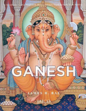 Ganesh: Removing The Obstacles
