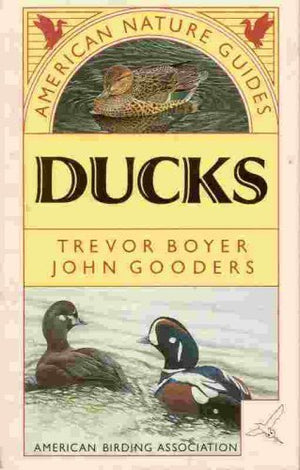 American Nature Guides Ducks of North America,Used