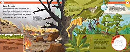 How do we stop climate change?: Mind Mappers: Making Difficult Subjects Easy to Understand,Used