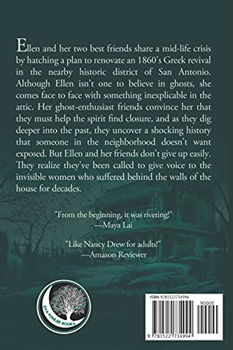 The Mystery House (The Mystery House Series),Used